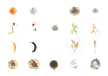 ITINERARIUM COLLECTIE